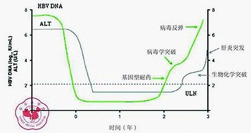 時間分辨熒光免疫法測定乙型肝炎病毒標誌物